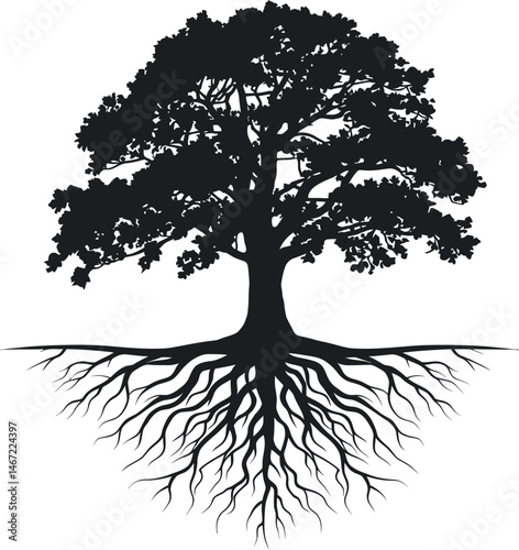 Silhouette of a majestic oak tree with extensive roots reaching downwards for design