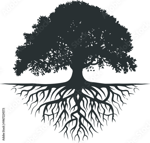 Silhouette of a majestic tree illustrating roots and canopy representing growth and stability