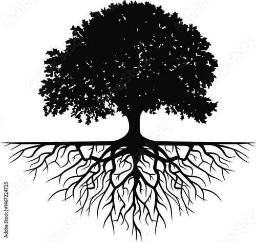 Silhouette of a majestic tree showing roots and branches symbolizing growth and nature