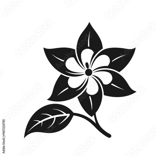  black and white jasmine drawing of a flower with leaves
