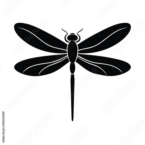 Dragonfly Insect Vector Silhouette Graphic