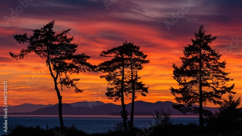 At sunset, the silhouettes of trees reflect the orange and red sky above the lake, with clouds overhead and mountains in the distance.