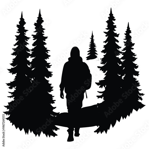 Silhouette of Hiker Walking Through a Pine Forest