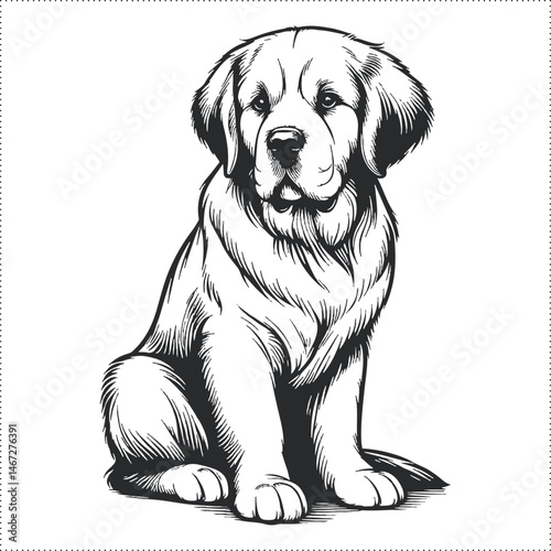 Cute and versatile Dog illustrations for t-shirts, stickers, books, and digital designs—perfect for commercial or personal projects