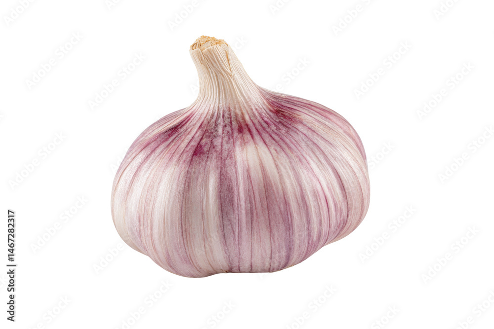 Obraz premium Fresh single garlic bulb with purple stripes on a transparent background vector for healthy cooking and flavoring
