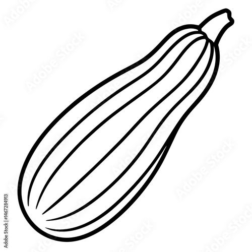 Zucchini icon vector