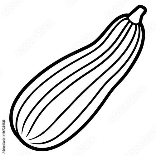 Zucchini icon vector