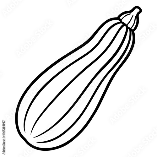 Zucchini icon vector