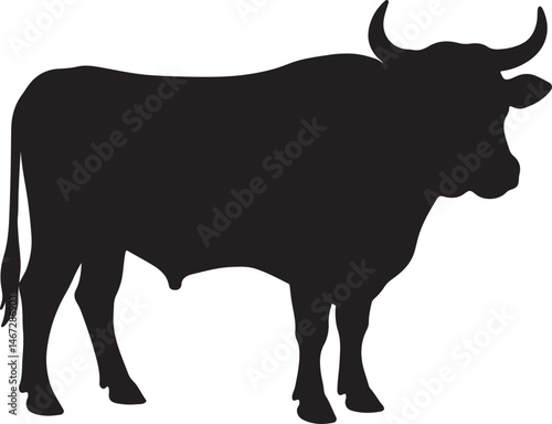 Cow vector illustration on white background, silhouette, line art, outline, icon black and white