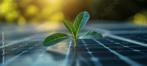 Obraz na płótnie Green sprout growing on solar panel symbolizing renewable energy and sustainable innovation in clean technology solutions
w salonie