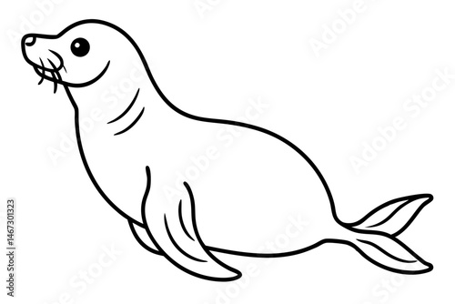 Linear Seal Sketch
