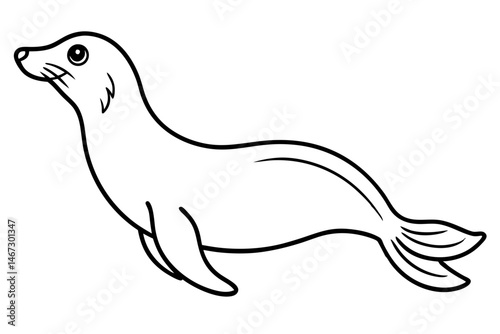 Linear Seal Sketch