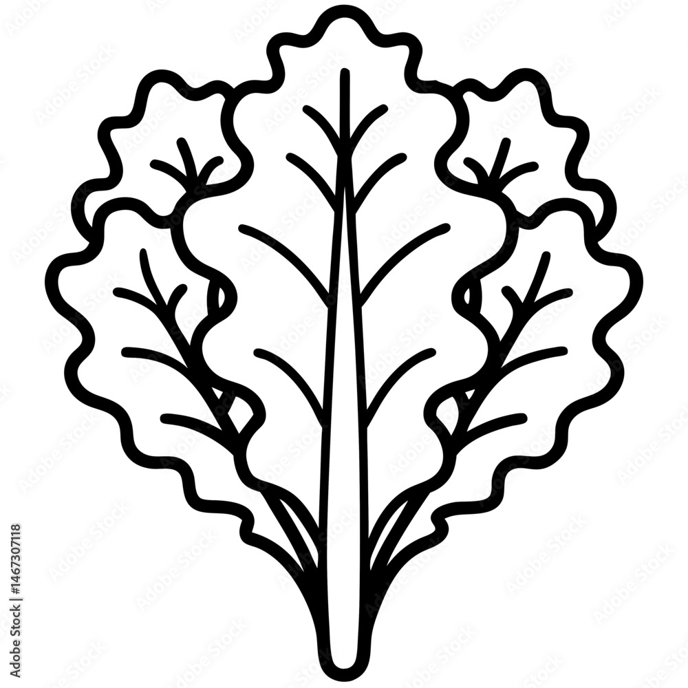 Obraz premium Kale icon art vector