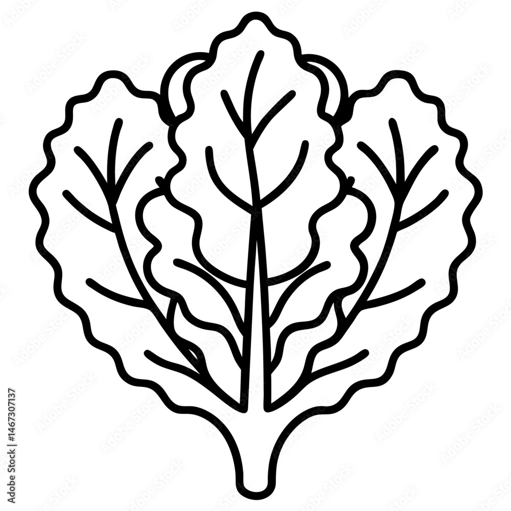 Obraz premium Kale icon art vector