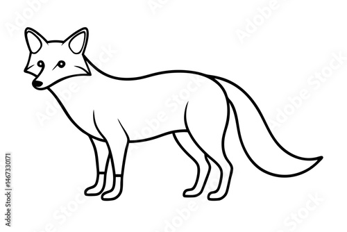 Wild Fox Sketch Vector