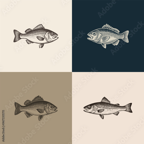 Set of fish vintage engraving style logo design illustration