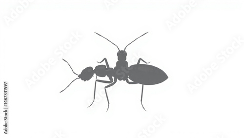 Silhouette of a single ant with detailed legs antennae and body on a plain white background image view created with generated ai