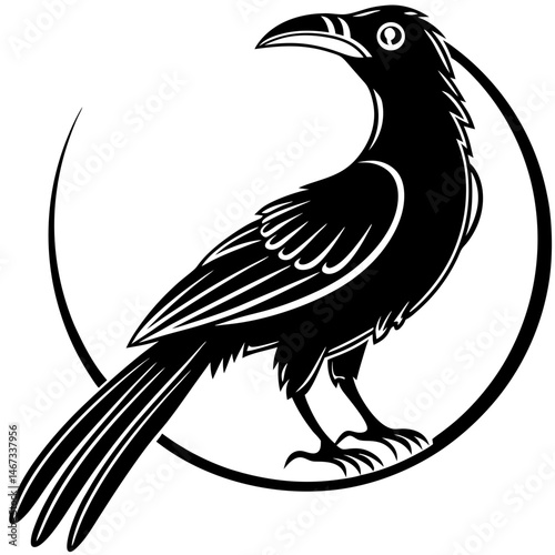 koel bird silhouette