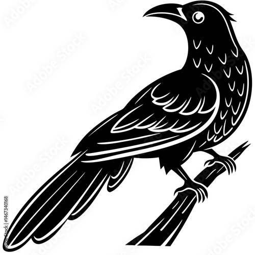 koel bird silhouette