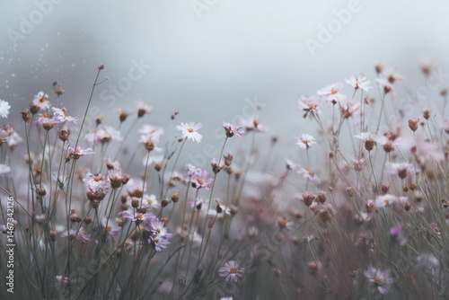 A minimalist scene of a calm field of wildflowers with delicate blossoms scattered throughout A soft pastel sky fades into the background creating a tranquil atmosphere