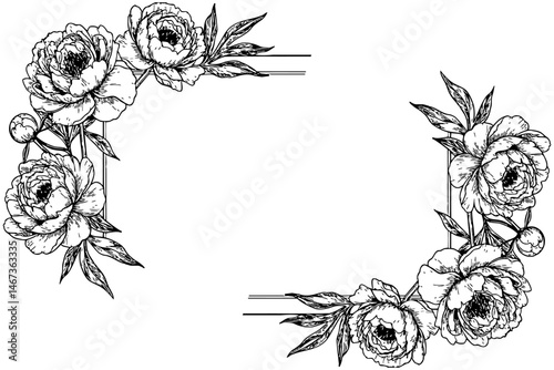 Floral vector frame with blooming peonies and detailed leaves forming decorative corners, perfect for wedding invitations, greeting cards, labels, or vintage-themed designs.