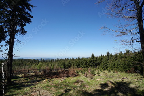 Fototapeta Naklejka Na Ścianę i Meble -  Góry Orlickie