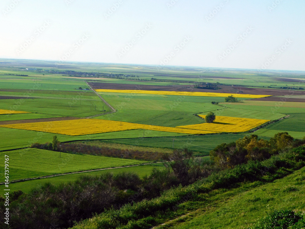 Obraz premium Expansive green fields and rural landscape under a clear blue sky