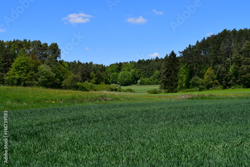 Schöne Landschaft bei Tüchersfeld in der fränkischen Schweiz 