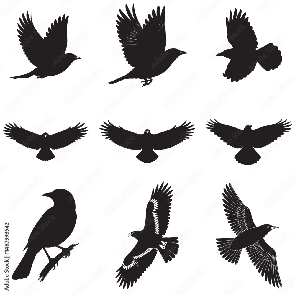 Obraz premium Dynamic Bird Vector Set with Flying, Perching, and Standing Poses in Bold Styles A stunning collection of birds in energetic poses, ideal for creating impactful wildlife and nature designs .Thank You.