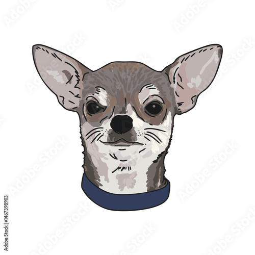 Chihuahua Dog Face Vector