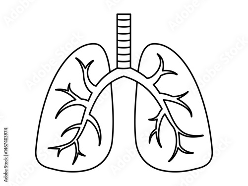 Hand drawn cute outline illustration of lungs. Flat vector respiratory internal organ line art doodle. Pulmonary system. Health care sticker, icon. Hospital examination or diagnostic. Isolated.