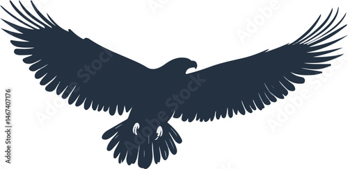 Dark Silhouette of Eagle Landing