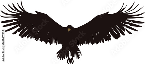 Monochrome Illustration of Diving Eagle