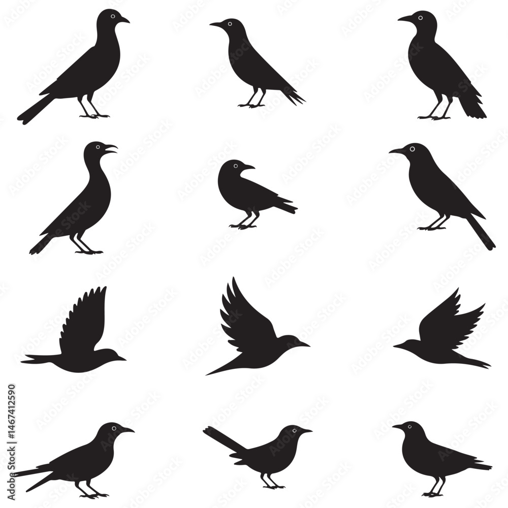 Dynamic Bird Vector Set with Flying, Perching, and Standing Poses in Bold Styles A stunning collection of birds in energetic poses, ideal for creating impactful wildlife and nature designs .Thank You. Dynamic Bird Vector Set with Flying, Perching, and Standing Poses in Bold Styles A stunning collection of birds in energetic poses, ideal for creating impactful wildlife and nature designs .Thank You.