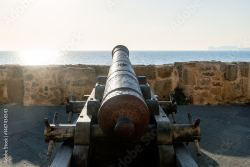 Historic metal cannon on wooden carriage facing the open sea