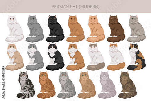 Persian Cat longhaired clipart. Modern type persian cat. All coat colors set.  All cat breeds characteristics infographic. Vector illustration