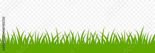 Geen grass border. A natural summer lawn, field. Design element for a project, website, app, presentation, banner. Isolated on a transparent background. Vector illustration.