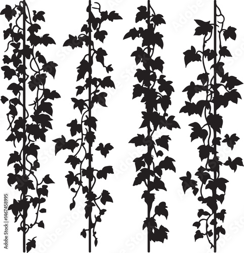 Black Silhouette Vines Clinging to Poles: Decorative Botanical Vector Illustration