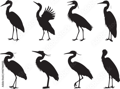 Heron Silhouette SVG – Elegant Bird Vector for Nature Designs

Flying Heron Clipart – Wildlife SVG for Crafts & Prints

Wading Bird Vector – Heron Design for Nature & Bird Lovers

Heron Standing SVG –