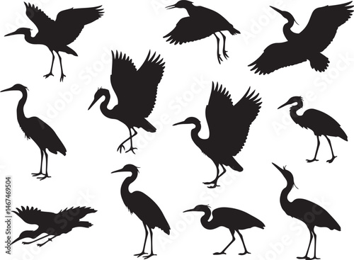 Heron Silhouette SVG – Elegant Bird Vector for Nature Designs

Flying Heron Clipart – Wildlife SVG for Crafts & Prints

Wading Bird Vector – Heron Design for Nature & Bird Lovers

Heron Standing SVG –