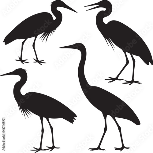 Heron Silhouette SVG – Elegant Bird Vector for Nature Designs

Flying Heron Clipart – Wildlife SVG for Crafts & Prints

Wading Bird Vector – Heron Design for Nature & Bird Lovers

Heron Standing SVG –