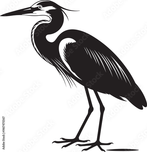 Heron Silhouette SVG – Elegant Bird Vector for Nature Designs

Flying Heron Clipart – Wildlife SVG for Crafts & Prints

Wading Bird Vector – Heron Design for Nature & Bird Lovers

Heron Standing SVG –
