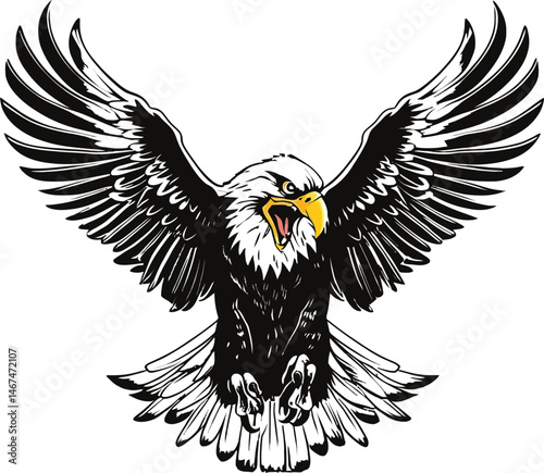 Eagle Illustration Flying Bird Predator Wildlife