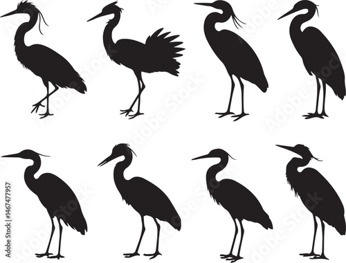 Heron Silhouette SVG – Elegant Bird Vector for Nature Designs

Flying Heron Clipart – Wildlife SVG for Crafts & Prints

Wading Bird Vector – Heron Design for Nature & Bird Lovers

Heron Standing SVG –