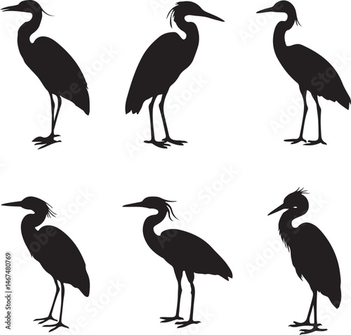 Heron Silhouette SVG – Elegant Bird Vector for Nature Designs

Flying Heron Clipart – Wildlife SVG for Crafts & Prints

Wading Bird Vector – Heron Design for Nature & Bird Lovers

Heron Standing SVG –