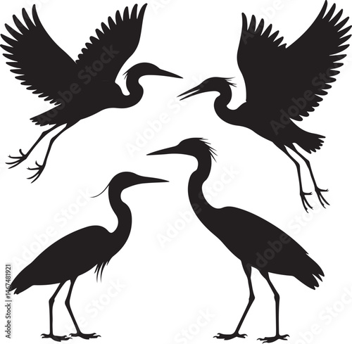 Heron Silhouette SVG – Elegant Bird Vector for Nature Designs

Flying Heron Clipart – Wildlife SVG for Crafts & Prints

Wading Bird Vector – Heron Design for Nature & Bird Lovers

Heron Standing SVG –