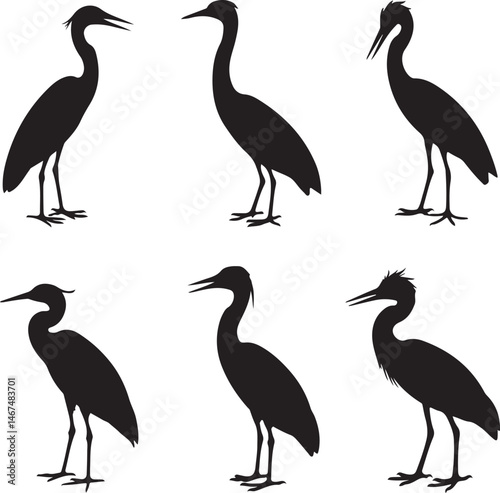 Heron Silhouette SVG – Elegant Bird Vector for Nature Designs

Flying Heron Clipart – Wildlife SVG for Crafts & Prints

Wading Bird Vector – Heron Design for Nature & Bird Lovers

Heron Standing SVG –