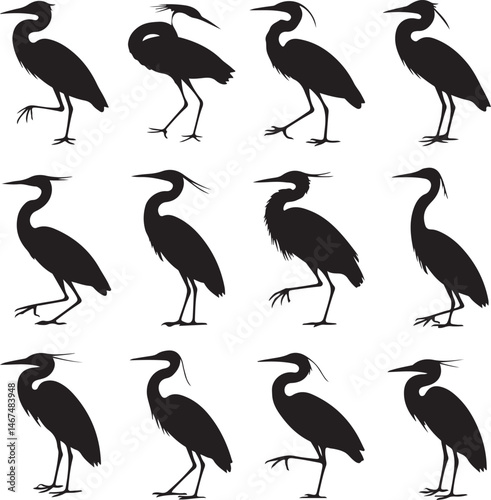 Heron Silhouette SVG – Elegant Bird Vector for Nature Designs

Flying Heron Clipart – Wildlife SVG for Crafts & Prints

Wading Bird Vector – Heron Design for Nature & Bird Lovers

Heron Standing SVG –