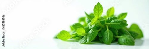 Bright green herb against pure white backdrop , texture, organic, vibrant