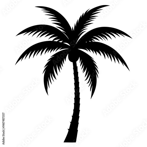 silhouette of palm trees